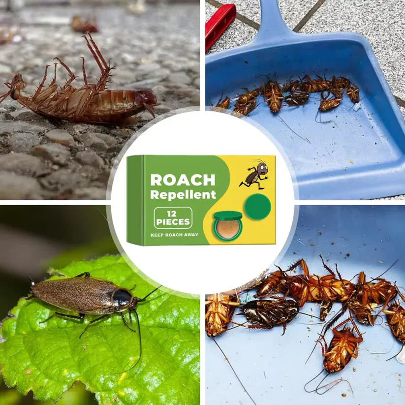 Coredew™ Plant-Powered Roach Repellent (Pet & Kid Friendly)